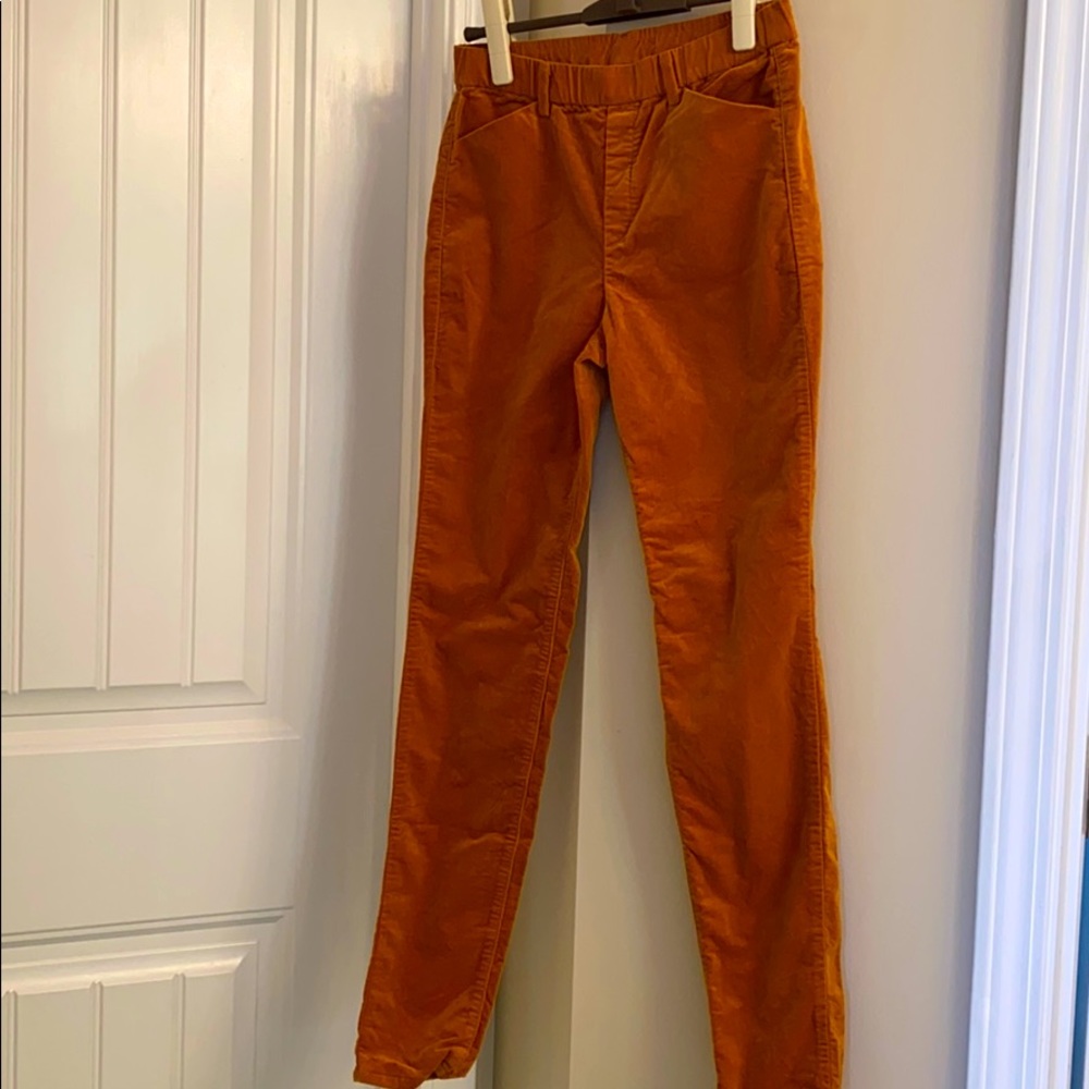 Heat tech velour pants purchased in Japan (NWOT)